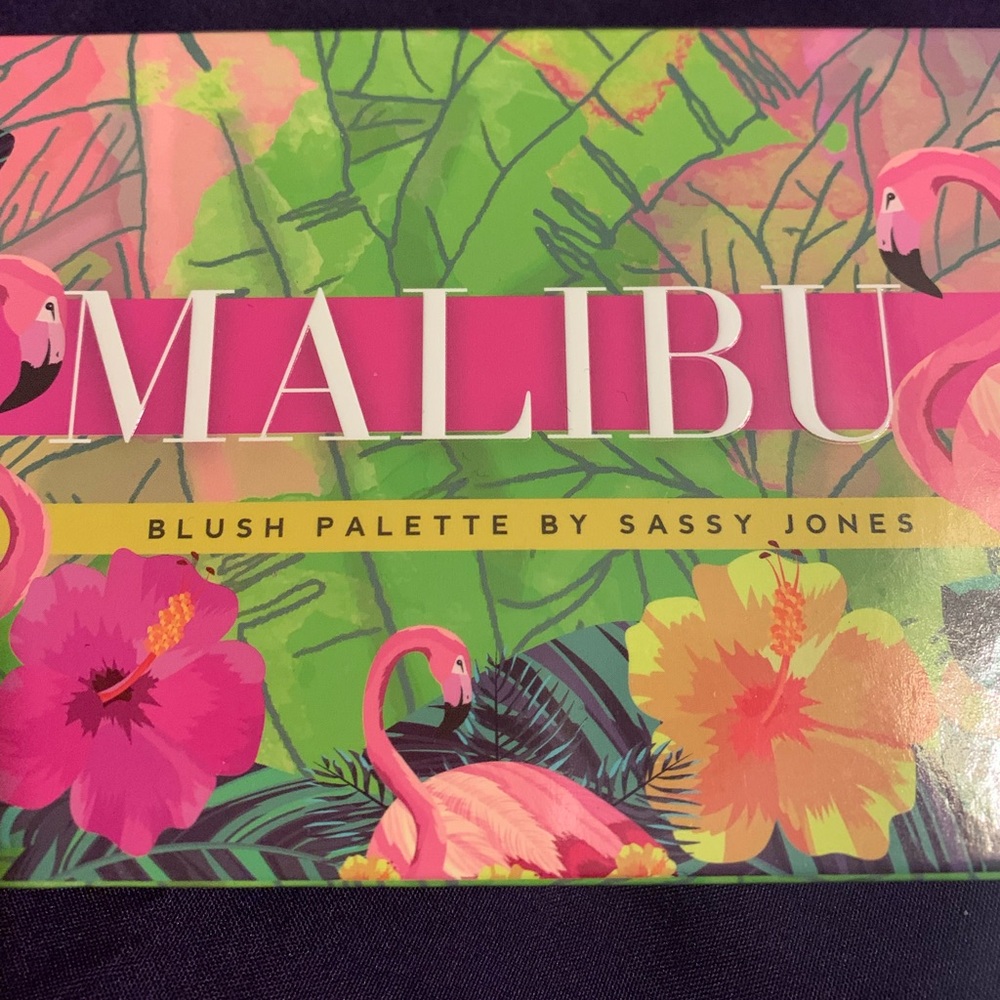 Sassy Jones Malibu Blush Palette - Brand New! - Picture 3 of 9